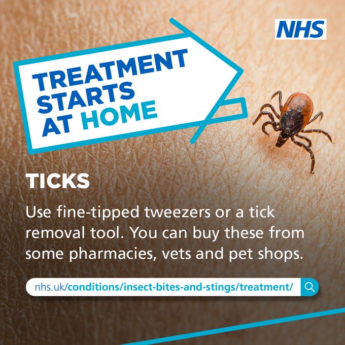 Ticks